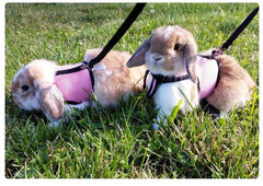 Mutil-Colors Breathable Stylish Vest Small Pet Carrier Bag Adjustable Soft Harness  And Elastic Leash Set For Rabbits